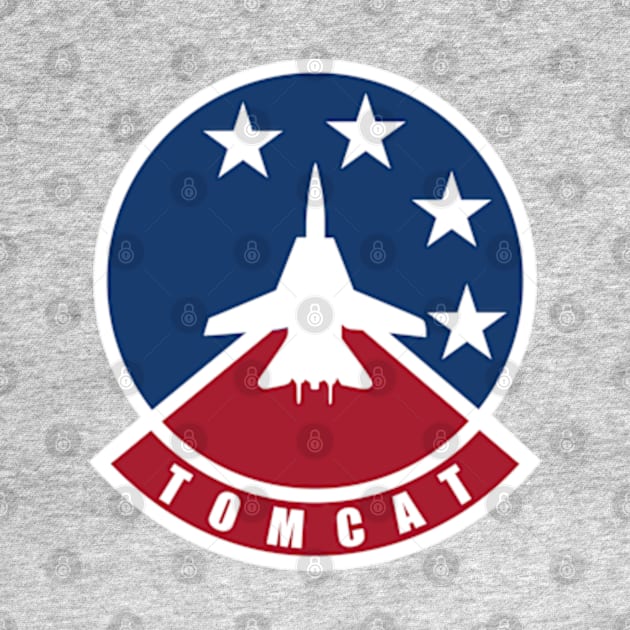 F-14 Tomcat by TCP